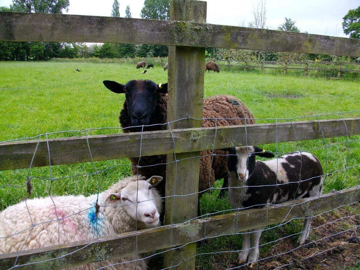 The Old Cowstall Somerton  Esterno foto