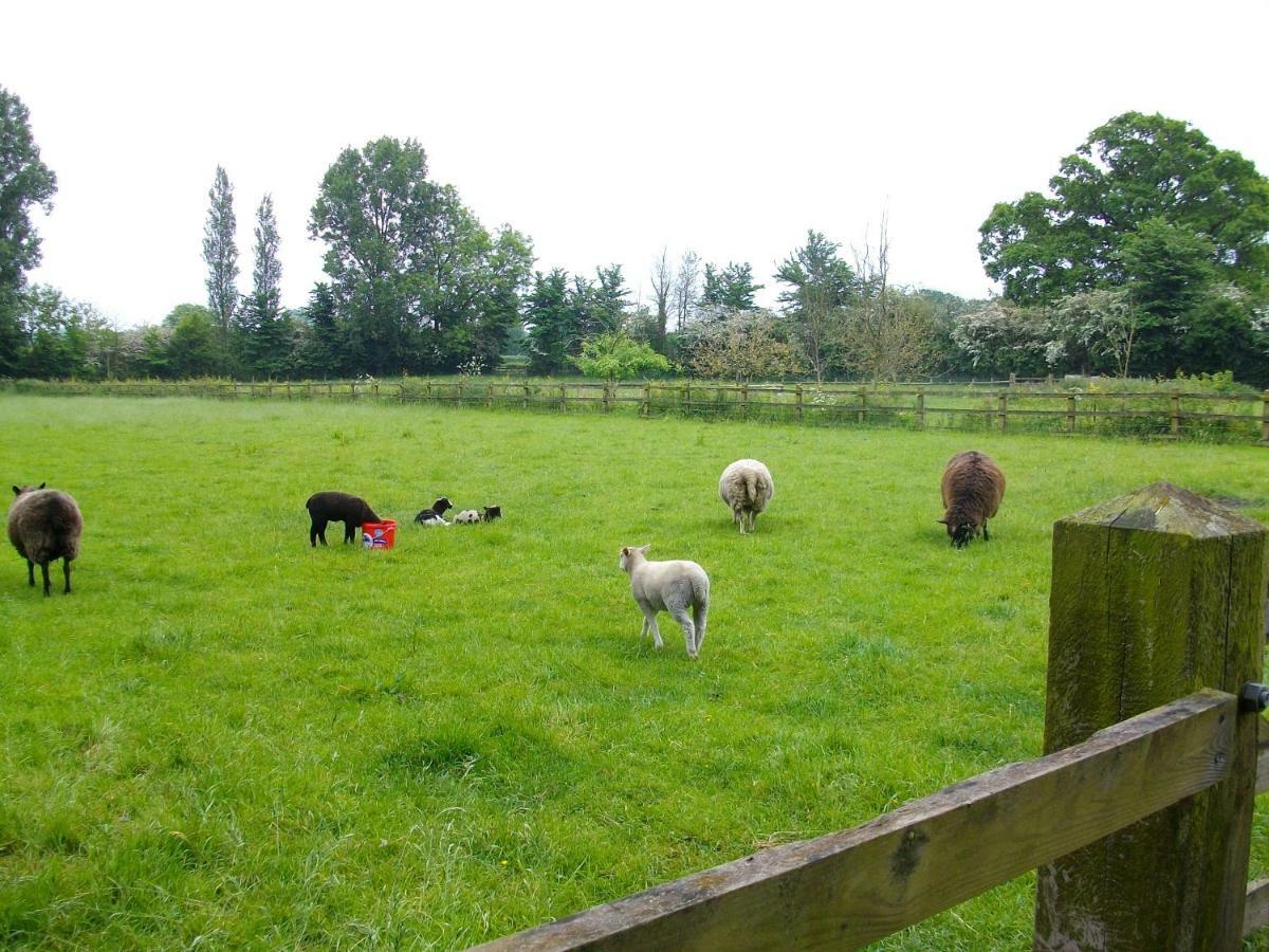 The Old Cowstall Somerton  Esterno foto
